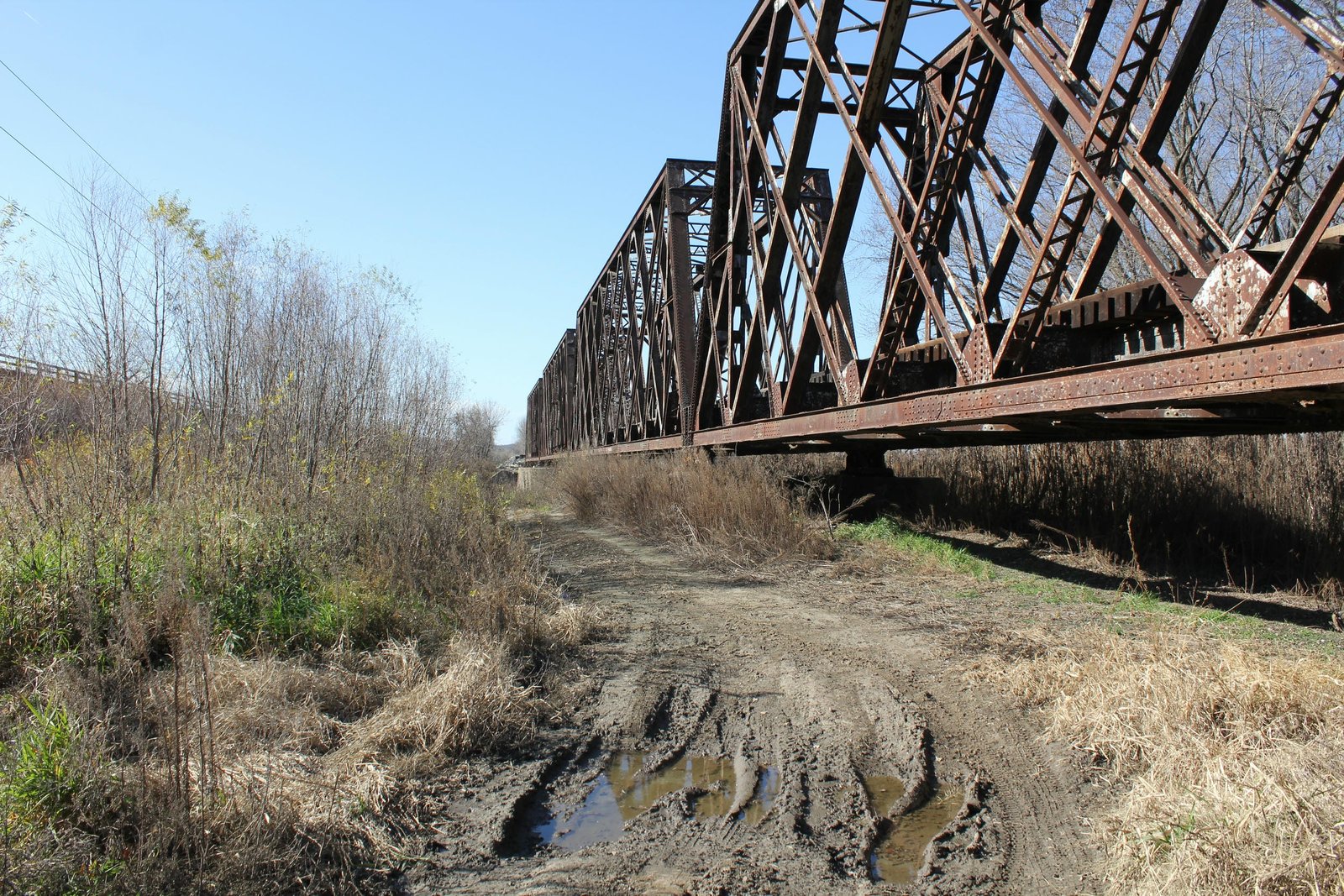 Looking west